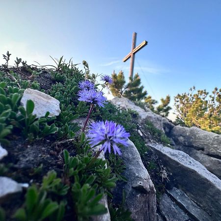 Ferienwohnung Gasser Hahnenkamm Blick Reutte Kültér fotó