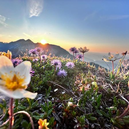 Ferienwohnung Gasser Hahnenkamm Blick Reutte Kültér fotó